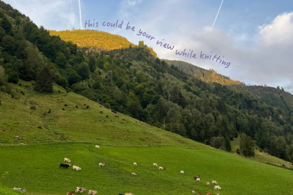 yarnandalps2
