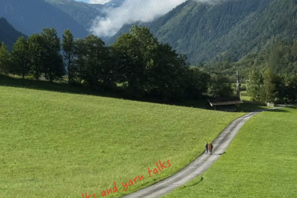 yarnandalps6